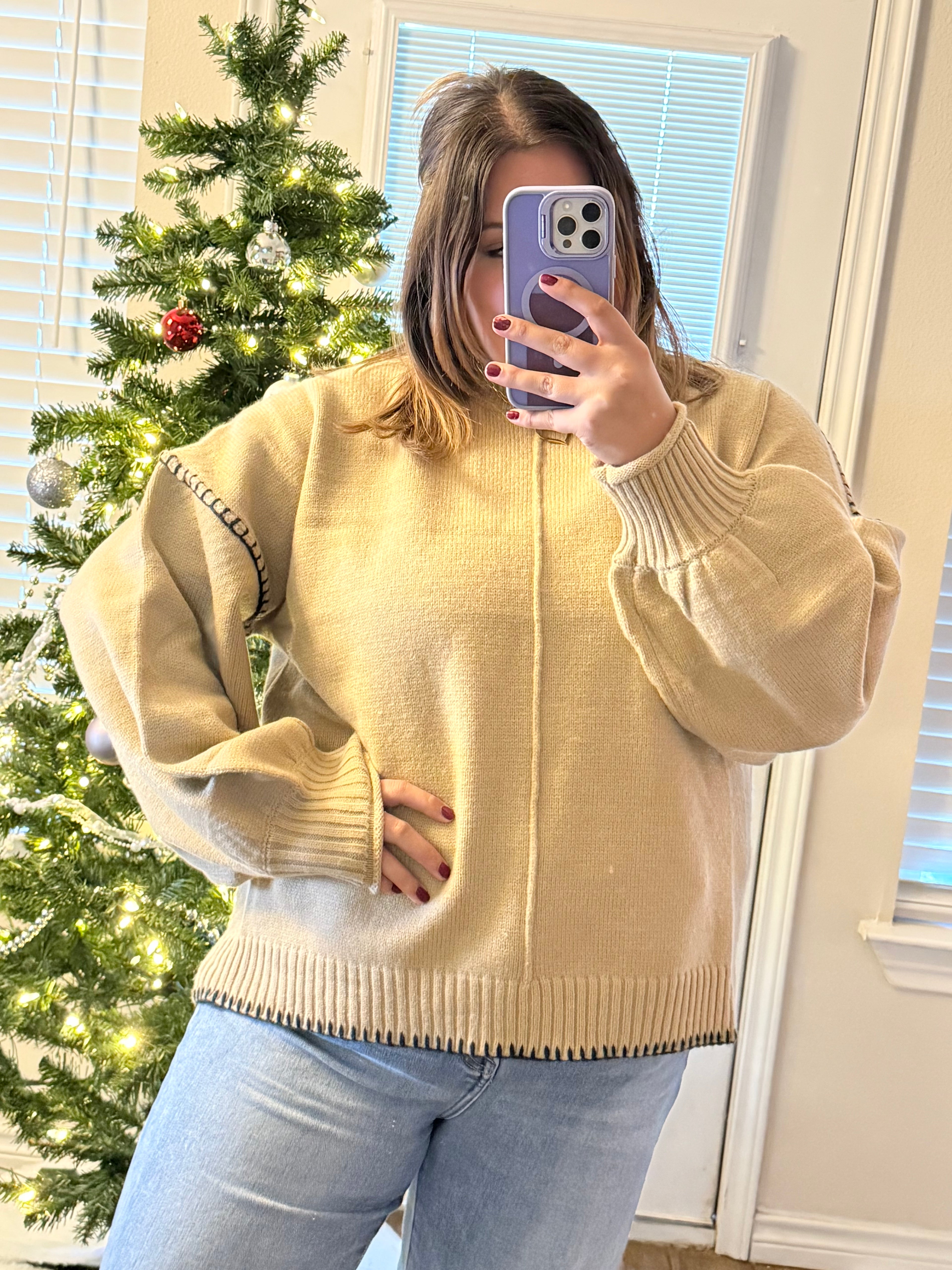 Taupe Knit Turtle Neck
